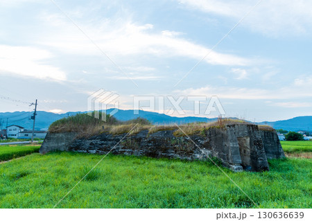稲が育つ田んぼに佇む柳本飛行場跡の北側防空壕のある風景 130636639