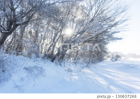 スノーシュートレッキングのイメージ　蒜山高原 130637268