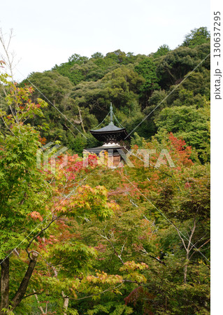 秋の気配が感じられる京都の寺院の境内の風景 130637295