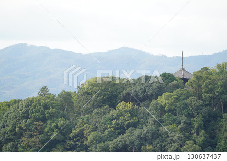 永観堂多宝塔から見た金戒光明寺の塔 永観堂多宝塔から見た金戒光明寺の塔 130637437