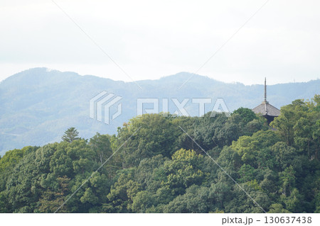 永観堂多宝塔から見た金戒光明寺の塔 永観堂多宝塔から見た金戒光明寺の塔 130637438
