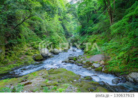 【宮崎県高千穂町】天岩戸神社　天安河原（あまのやすかわら） 130637615