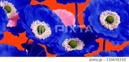 Bright Blue Poppy Flowers with Seamless Contrast Pattern on Canvas 130638330