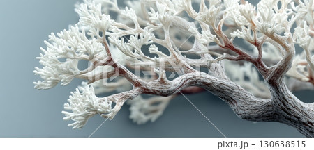 Abstract White Scene Featuring Delicate and Intricate Organic Structure 130638515