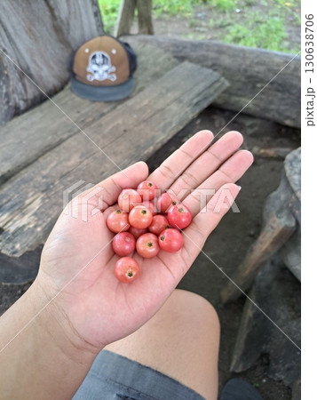 Fresh and vibrant Muntingia calabura, also known as Jamaican cherry or cotton candy fruit, with its small, sweet, and juicy berries. A delightful tropical fruit perfect for snacking or desserts. 130638706