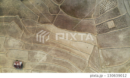 Aerial photo of rice fields in summer, captured from drone perspective. Aerial photo of rice fields in summer, captured from drone perspective. 130639012