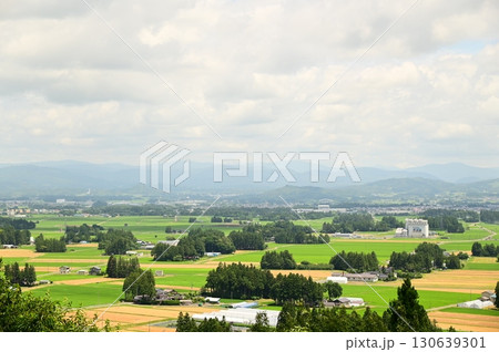 円万寺観音山から見える居久根(いぐね)のある風景 円万寺観音山から見える居久根(いぐね)のある風景 130639301