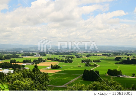 円万寺観音山から見える居久根(いぐね)のある風景 円万寺観音山から見える居久根(いぐね)のある風景 130639303