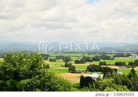 円万寺観音山から見える居久根(いぐね)のある風景 円万寺観音山から見える居久根(いぐね)のある風景 130639305