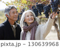 Happy elderly couple picking ripe dark grapes in a vineyard on a sunny day, enjoying nature and farming lifestyle together in the autumn season Happy elderly couple picking ripe dark grapes in a vineyard on a sunny day, enjoying nature and farming lifestyle together in the autumn season 130639968