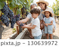 Happy multigenerational family harvesting dark grapes together in a sunny vineyard, with kids learning from grandparents and enjoying a fun outdoor farming activity Happy multigenerational family harvesting dark grapes together in a sunny vineyard, with kids learning from grandparents and enjoying a fun outdoor farming activity 130639972