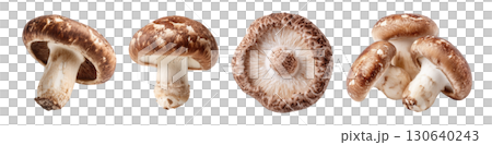 Set of isolated shiitake mushrooms on transparent background for cooking and food ingredient design. 130640243