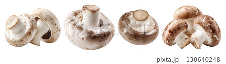 Set of isolated button mushrooms on transparent background for cooking and food ingredient design. 130640248