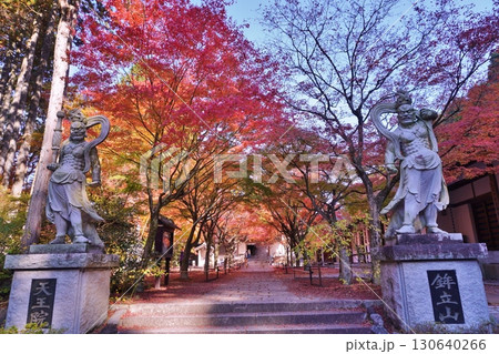 篠栗呑山観音寺 天王院の紅葉 篠栗呑山観音寺 天王院の紅葉 130640266