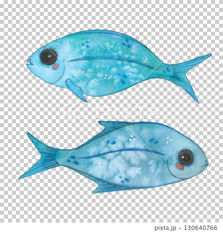 Set of two blue fish looking in opposite directions. Watercolor illustration drawn, cartoon, hand-drawn. For stickers, biology and ecology manuals. Sea, organism, ocean, swim, animal Set of two blue fish looking in opposite directions. Watercolor illustration drawn, cartoon, hand-drawn. For stickers, biology and ecology manuals. Sea, organism, ocean, swim, animal 130640766
