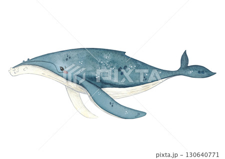 Whale, blue, with big fins. Watercolor illustration hand drawn, cartoon. Drawing for stickers, scrapbooking, poster. Animal, nature, ocean, sea, marine, whale, mammal, rare Whale, blue, with big fins. Watercolor illustration hand drawn, cartoon. Drawing for stickers, scrapbooking, poster. Animal, nature, ocean, sea, marine, whale, mammal, rare 130640771