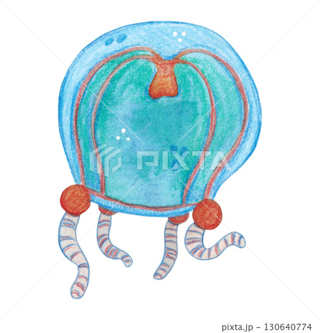 Small blue jellyfish with red digestive tract. Watercolor illustration drawn, cartoon, hand-drawn. For stickers, biology and ecology manuals. Sea, animal, coelenterates, organism, ocean, plankton Small blue jellyfish with red digestive tract. Watercolor illustration drawn, cartoon, hand-drawn. For stickers, biology and ecology manuals. Sea, animal, coelenterates, organism, ocean, plankton 130640774