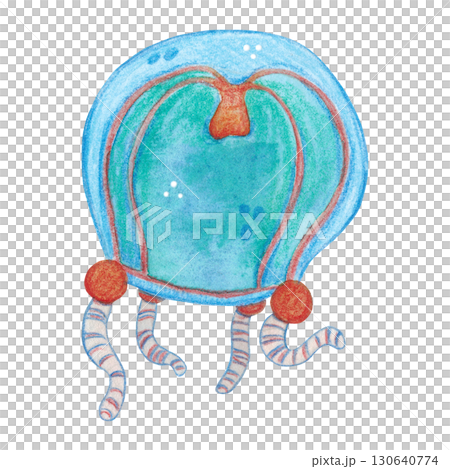 Small blue jellyfish with red digestive tract. Watercolor illustration drawn, cartoon, hand-drawn. For stickers, biology and ecology manuals. Sea, animal, coelenterates, organism, ocean, plankton Small blue jellyfish with red digestive tract. Watercolor illustration drawn, cartoon, hand-drawn. For stickers, biology and ecology manuals. Sea, animal, coelenterates, organism, ocean, plankton 130640774