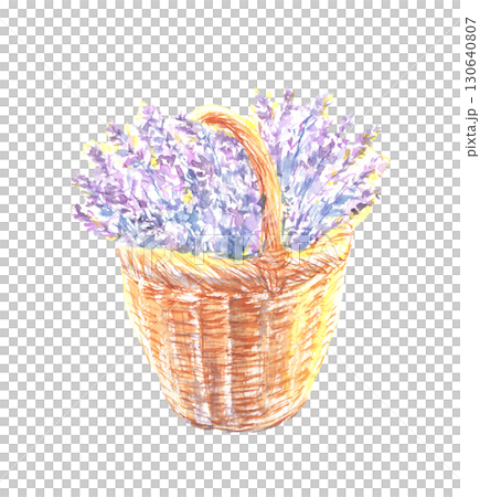 籃子裡的薰衣草水彩插圖 130640807