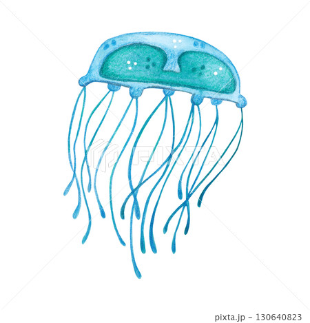 Small blue jellyfish with long tentacles. Watercolor illustration drawn, cartoon, hand-drawn. For stickers, biology and ecology manuals. Sea, animal, coelenterates, organism, ocean, plankton 130640823