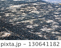 アスファルトに落ちる藤棚の影 130641182