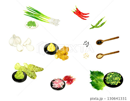 薬味として使われる野菜のセット　手描き水彩イラスト素材集 130641331