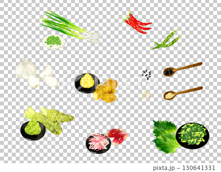 薬味として使われる野菜のセット　手描き水彩イラスト素材集 130641331
