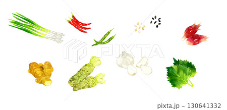 薬味として使われる野菜のセット　手描き水彩イラスト素材集 130641332