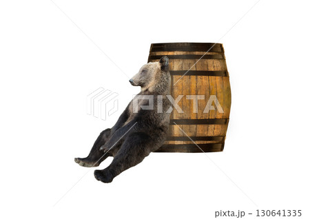 brown bear sitting near barrel isolated on white background 130641335