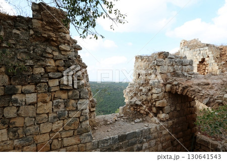 Ruins of the Crusader-era fortress of Yehiam in Israel. 130641543
