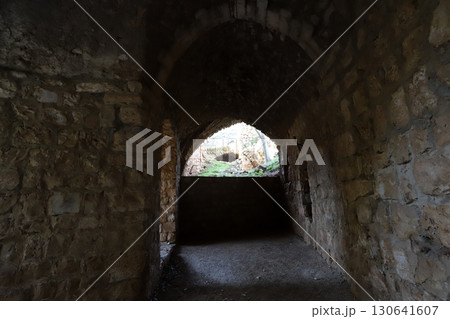 Ruins of the Crusader-era fortress of Yehiam in Israel. 130641607