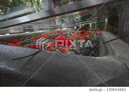 福岡県久留米市　水天宮境内の風景 130641663