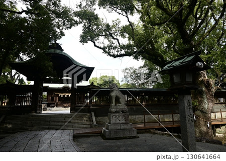 福岡県久留米市　水天宮境内の風景 130641664