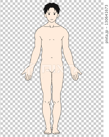 Anatomical upright position, male, front view, color, with hair Anatomical upright position, male, front view, color, with hair 130641673