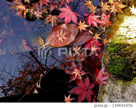 篠栗町明石寺 水に浮かぶ紅葉 篠栗町明石寺 水に浮かぶ紅葉 130642056