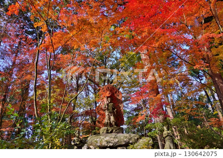 篠栗呑山観音寺　天王院の紅葉 130642075