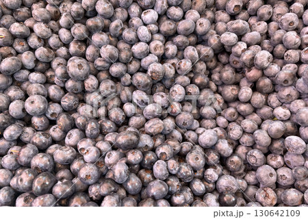 Blueberry texture background. Fresh blue berry fruits pattern, bilberry wallpaper Blueberry texture background. Fresh blue berry fruits pattern, bilberry wallpaper 130642109