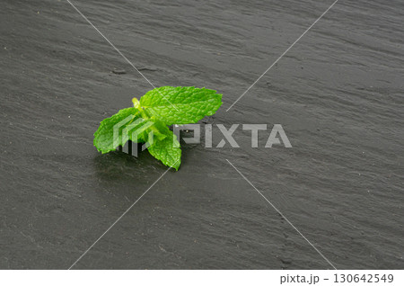 Mint twigs, leaves. Peppermint sprig with drops, fresh wet mentha stem, green spearmint branch Mint twigs, leaves. Peppermint sprig with drops, fresh wet mentha stem, green spearmint branch 130642549