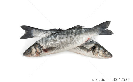 European seabass or Dicentrarchus labrax, whole raw labrax, branzino fish, European bass 130642585