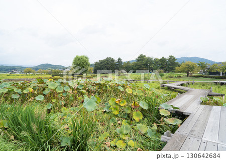 二の丸跡（備中高松城跡） 130642684