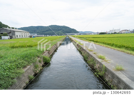 水攻め史跡公園（備中高松城跡） 130642693