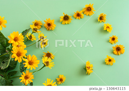 Bright yellow flowers arranged beautifully on green background 130643115