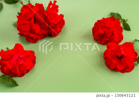 Red roses with textured petals on a green background 130643121