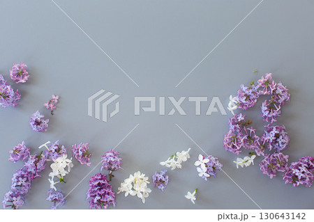 Lilac bouquet from above on a minimalistic gray background for design Lilac bouquet from above on a minimalistic gray background for design 130643142