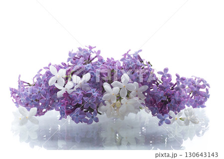 Bouquet of white and purple lilacs on a white background 130643143