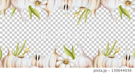 Garlic with green leaves horizontal rectangular frame frame isolated on white. Hand drawn realistic vegetables template with copy space for spices cooking designs. Organic food watercolor clip art Garlic with green leaves horizontal rectangular frame frame isolated on white. Hand drawn realistic vegetables template with copy space for spices cooking designs. Organic food watercolor clip art 130644036