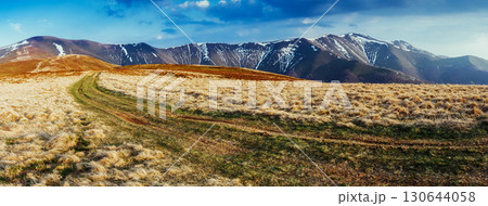 Magical yellow dry grass glowing by sunlight. Dramatic scene and picturesque picture. Location place Carpathian Magical yellow dry grass glowing by sunlight. Dramatic scene and picturesque picture. Location place Carpathian 130644058