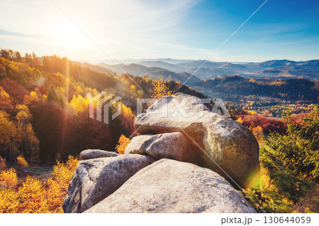 Majestic trees with sunny beams at mountain valley. Location place Carpathians, Ukraine Majestic trees with sunny beams at mountain valley. Location place Carpathians, Ukraine 130644059