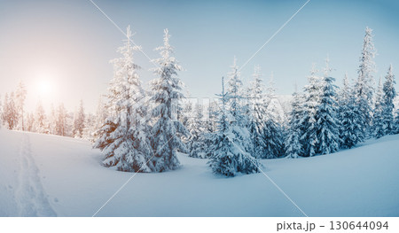 beautiful winter landscape beautiful winter landscape 130644094