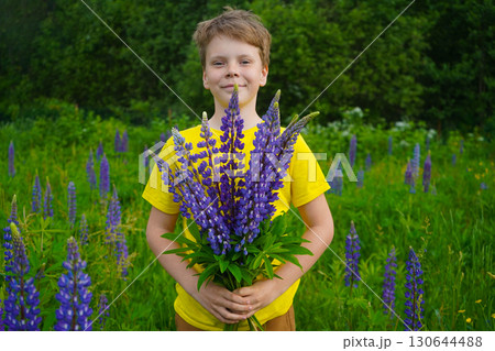 A cheerful child dressed in yellow is surrounded by tall lupines, smiling at the camera. A cheerful child dressed in yellow is surrounded by tall lupines, smiling at the camera. 130644488